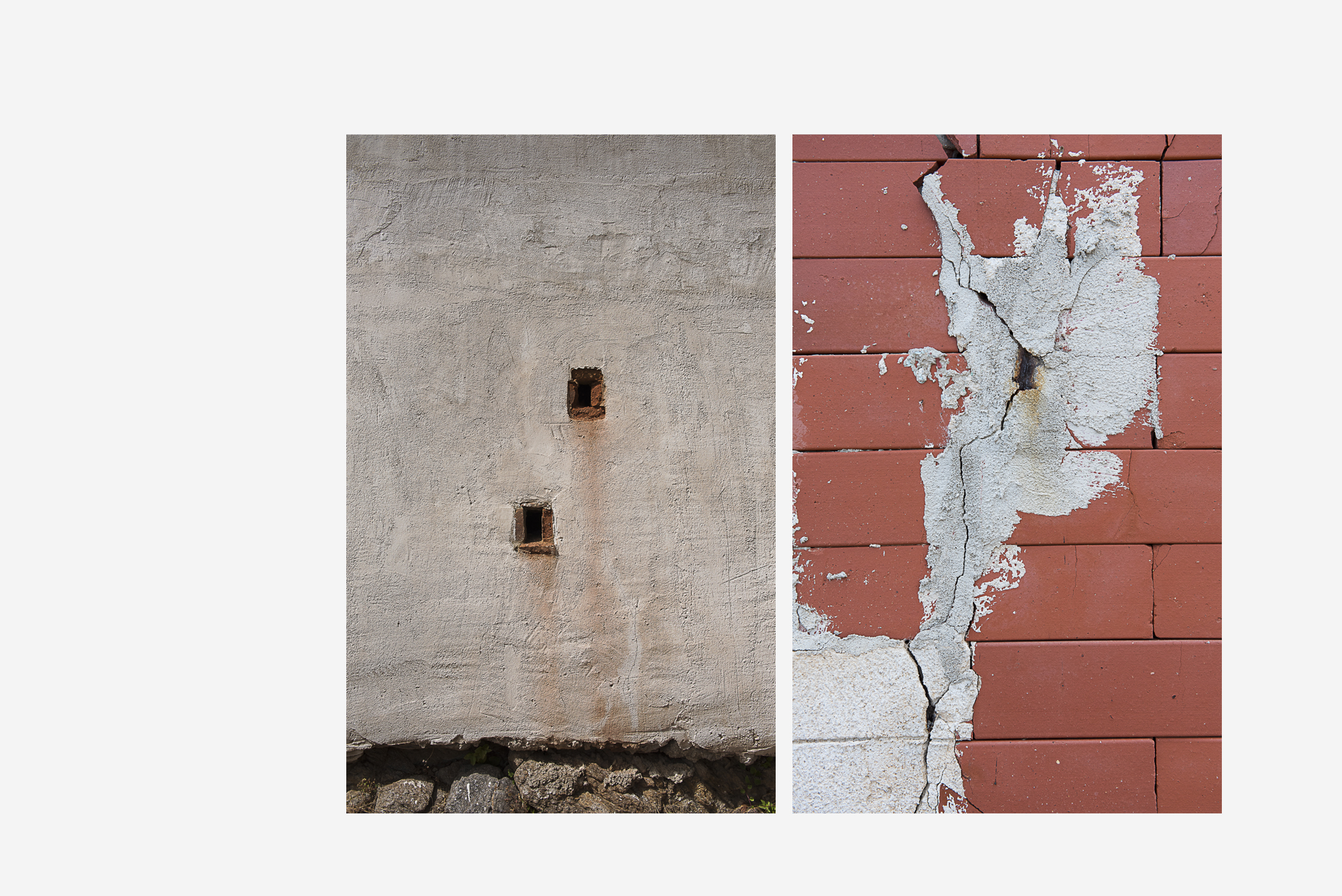 asinara_grey12