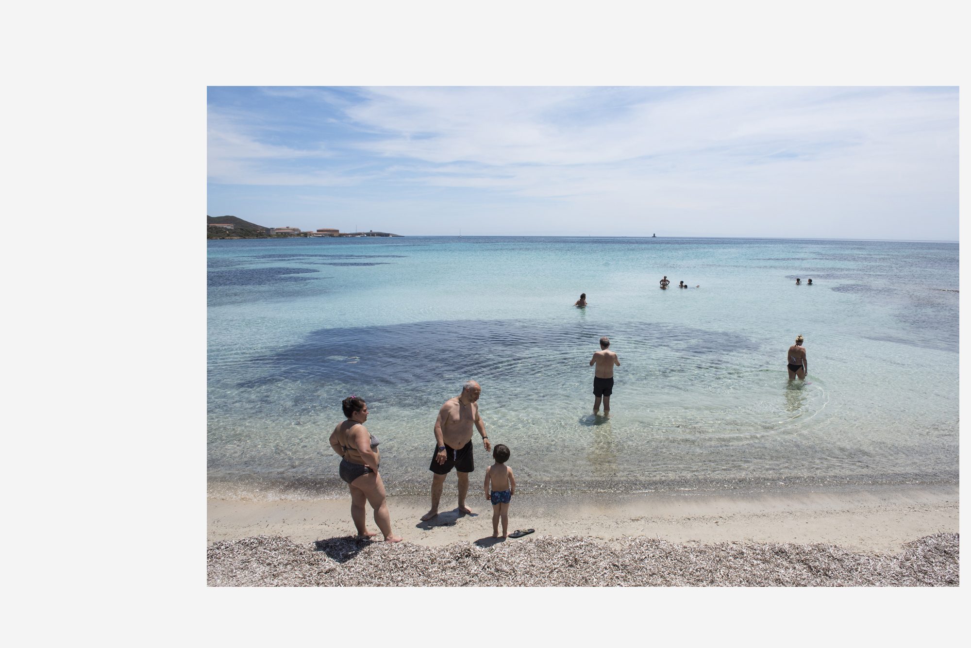 asinara_grey13