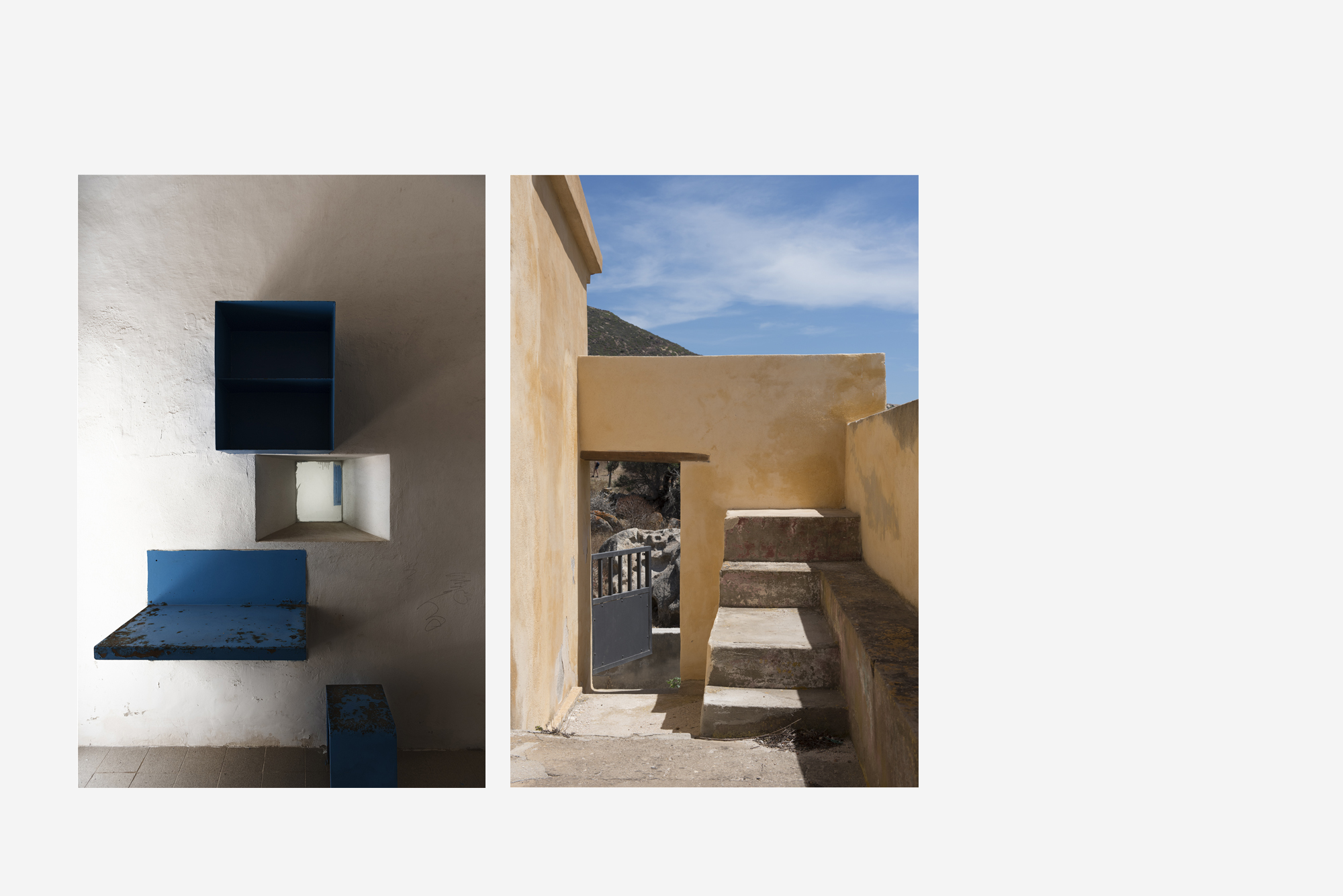 asinara_grey14