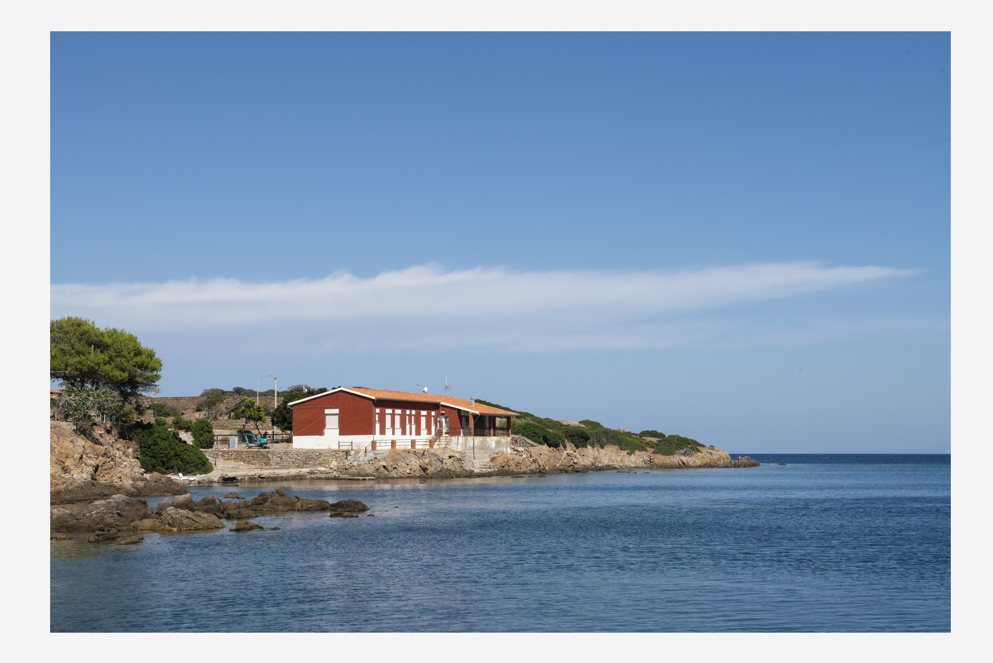 asinara_grey18