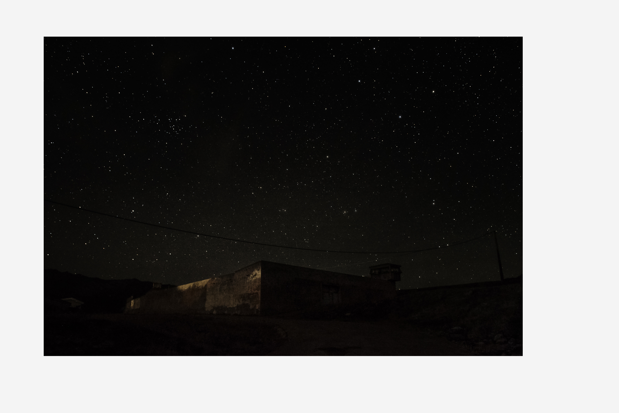 asinara_grey2