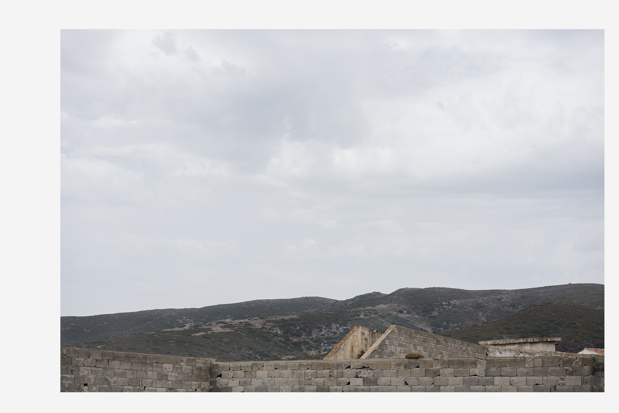 asinara_grey5
