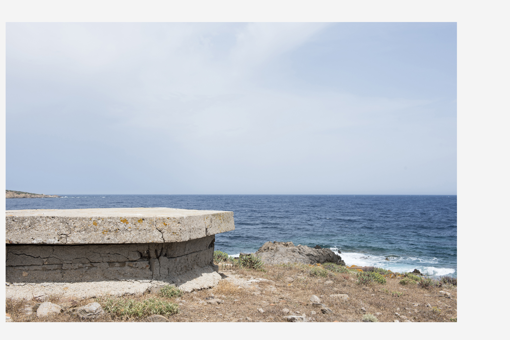 asinara_grey8